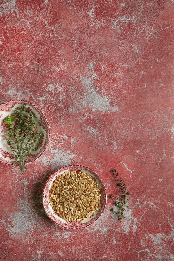 Sfondo fotografico ANEMONE in vinile, con muro consumato e ruvido, ideale per food photography rustica, naturale e accogliente