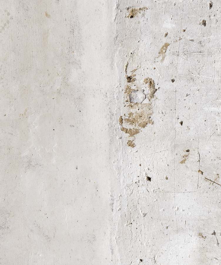 BARI - foodpropslover - sfondo fotografico professionale - sfondo set fotografico - sfondo fotografico personalizzato - sfondo fotografico vinile - sfondo fotografico in legno - food photography - sfondo fotografico per fotografia di prodotto - sfondo fotografico per fotografia di food -  #