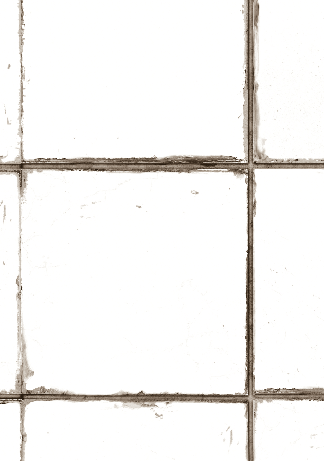 BETULLA - foodpropslover - sfondo fotografico professionale - sfondo set fotografico - professional food photographer - sfondo fotografico personalizzato - food photography photos - sfondo fotografico vinile - sfondo fotografico in legno - food photography - sfondo fotografico per fotografia di prodotto - sfondo fotografico per fotografia di food