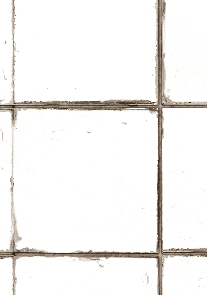 BETULLA - foodpropslover - sfondo fotografico professionale - sfondo set fotografico - professional food photographer - sfondo fotografico personalizzato - food photography photos - sfondo fotografico vinile - sfondo fotografico in legno - food photography - sfondo fotografico per fotografia di prodotto - sfondo fotografico per fotografia di food