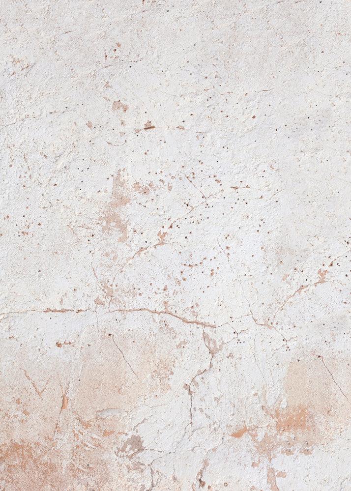 Sfondo fotografico in vinile effetto pietra