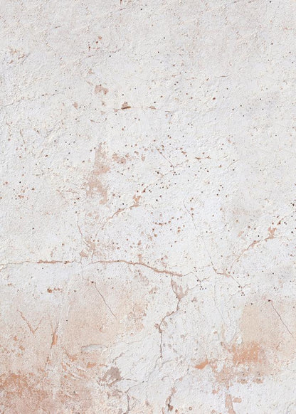 Sfondo fotografico in vinile effetto pietra