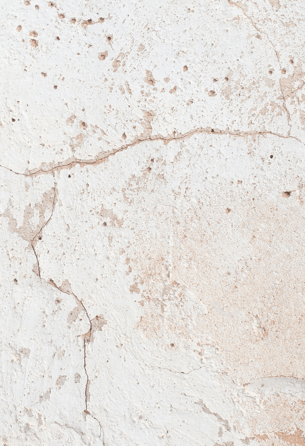 BISCOTTO foodpropslover food backdrop, food photo backdrops,  professional photo background