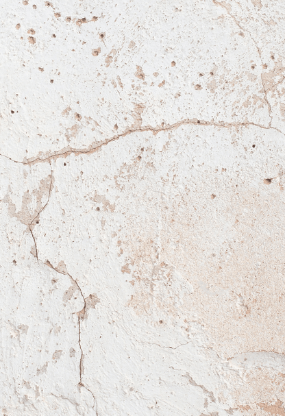 BISCOTTO foodpropslover food backdrop, food photo backdrops,  professional photo background