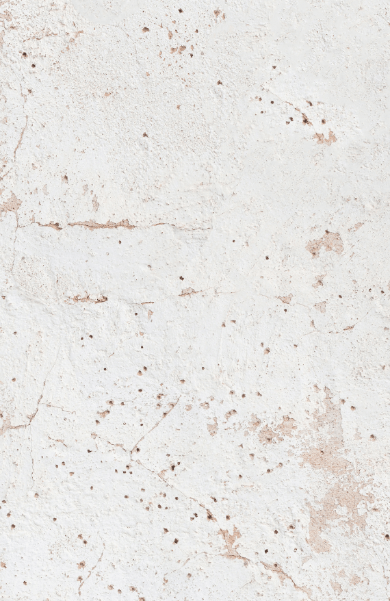 BISCOTTO foodpropslover food backdrop, food photo backdrops,  professional photo background