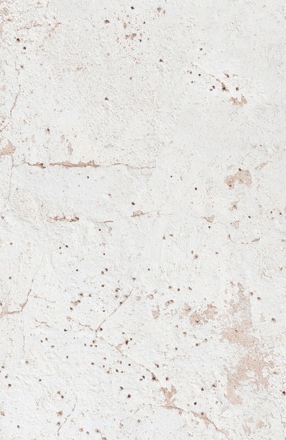 BISCOTTO foodpropslover food backdrop, food photo backdrops,  professional photo background