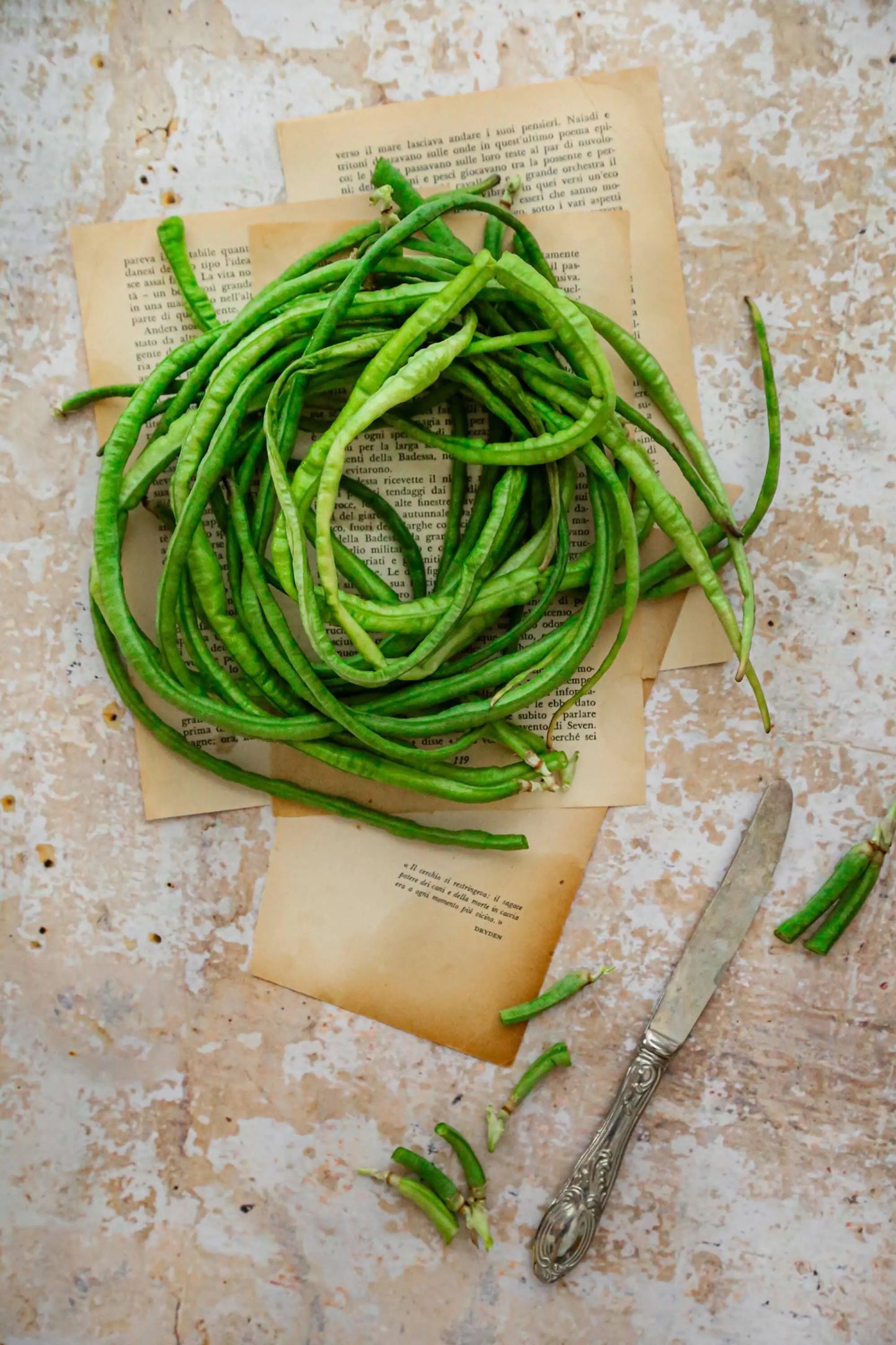 CAPPUCCINO foodpropslover food backdrop, food photo backdrops,  professional photo background