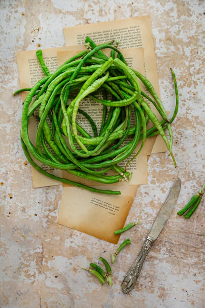 CAPPUCCINO foodpropslover food backdrop, food photo backdrops,  professional photo background