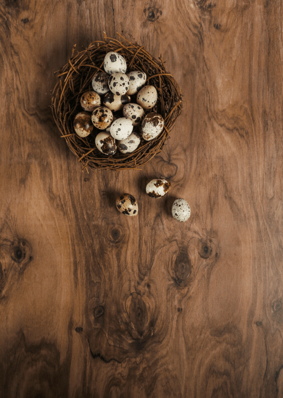 Sfondo fotografico in vinile con effetto legno rustico e senza doghe, perfetto per scatti caldi, autentici e pieni di atmosfera.