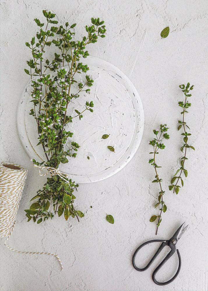 Sfondo fotografico in vinile con texture effetto gesso, dalla texture materica e ruvida, adatto per fotografie dallo stile rustico e naturale.