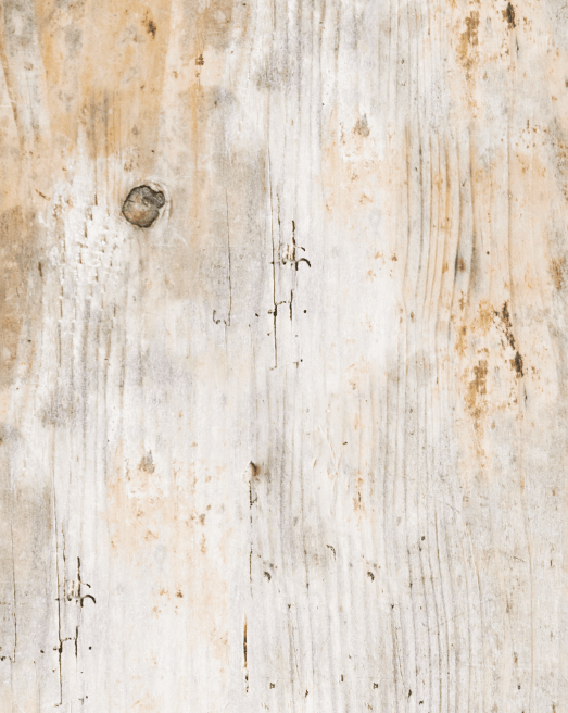 IMPERIA - foodpropslover - sfondo fotografico professionale - sfondo set fotografico - professional food photographer - sfondo fotografico personalizzato - food photography photos - sfondo fotografico vinile - sfondo fotografico in legno - food photography - sfondo fotografico per fotografia di prodotto - sfondo fotografico per fotografia di food -  # # #