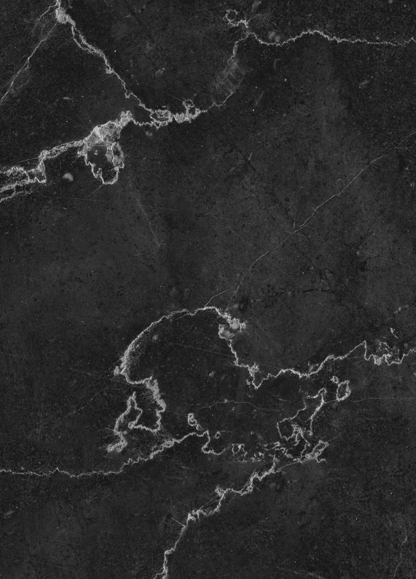 Dettaglio della venatura bianca che lo attraversa