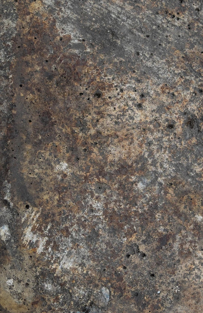 NOVITÀ: TESTA DI MORO - foodpropslover - sfondo fotografico professionale - sfondo set fotografico - professional food photographer - sfondo fotografico personalizzato - food photography photos - sfondo fotografico vinile - sfondo fotografico in legno - food photography - sfondo fotografico per fotografia di prodotto - sfondo fotografico per fotografia di food -  # # #