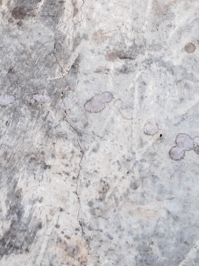 LAMPEDUSA - foodpropslover - sfondo fotografico professionale - sfondo set fotografico - professional food photographer - sfondo fotografico personalizzato - food photography photos - sfondo fotografico vinile - sfondo fotografico in legno - food photography - sfondo fotografico per fotografia di prodotto - sfondo fotografico per fotografia di food