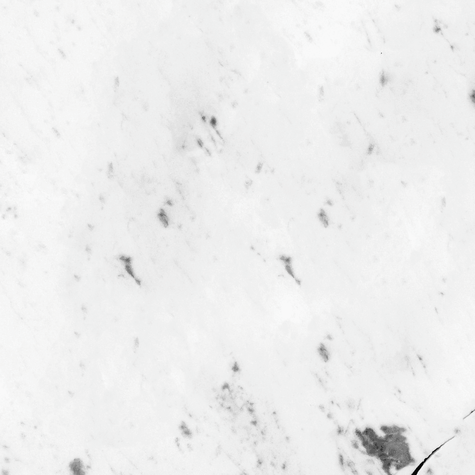 sfondo fotografico, concrete backdrops, food backdrops, food photo props, food photography props, product photography, vinyl backdrop, food background, rustic texture, sfondo fotografico per food photography, texture reali, prodotto in Italia, vinyl backd