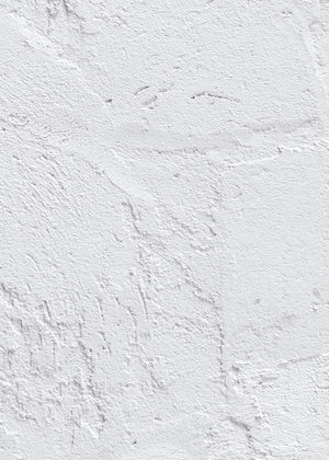 Sfondo fotografico in vinile 'Latte' con superficie opaca e texture liscia, tono neutro caldo che richiama l'intonaco bianco e ruvido. Ideale per fotografie di food