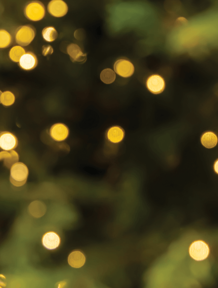 MAGICO NATALE - foodpropslover - sfondo fotografico professionale - sfondo set fotografico - sfondo fotografico personalizzato - sfondo fotografico vinile - sfondo fotografico in legno - food photography - sfondo fotografico per fotografia di prodotto - sfondo fotografico per fotografia di food -  sfondo fotografico natale - sfondo fotografico natalizio - sfondo fotografico made in italy - fotografare il cibo - come fotografare il cibo - fotografia di prodotto#