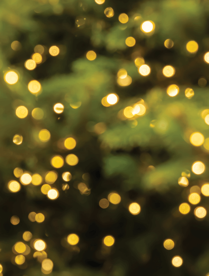 MAGICO NATALE - foodpropslover - sfondo fotografico professionale - sfondo set fotografico - sfondo fotografico personalizzato - sfondo fotografico vinile - sfondo fotografico in legno - food photography - sfondo fotografico per fotografia di prodotto - sfondo fotografico per fotografia di food -  #