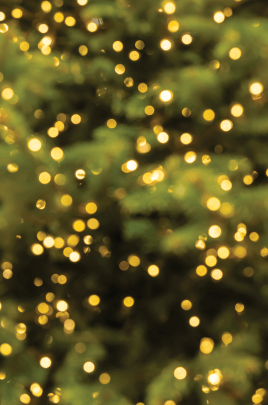 MAGICO NATALE - foodpropslover - sfondo fotografico professionale - sfondo set fotografico - sfondo fotografico personalizzato - sfondo fotografico vinile - sfondo fotografico in legno - food photography - sfondo fotografico per fotografia di prodotto - sfondo fotografico per fotografia di food -  sfondo fotografico natale - sfondo fotografico natalizio - sfondo fotografico made in italy - fotografare il cibo - come fotografare il cibo - fotografia di prodotto