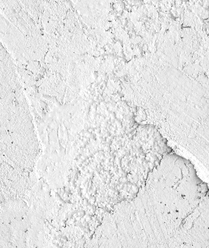 STUCCO - MAGICO NATALE - foodpropslover - sfondo fotografico professionale - sfondo set fotografico - sfondo fotografico personalizzato - sfondo fotografico vinile - sfondo fotografico in legno - food photography - sfondo fotografico per fotografia di prodotto - sfondo fotografico per fotografia di food -  sfondo fotografico natale - sfondo fotografico natalizio - sfondo fotografico made in italy - fotografare il cibo - come fotografare il cibo - fotografia di prodotto