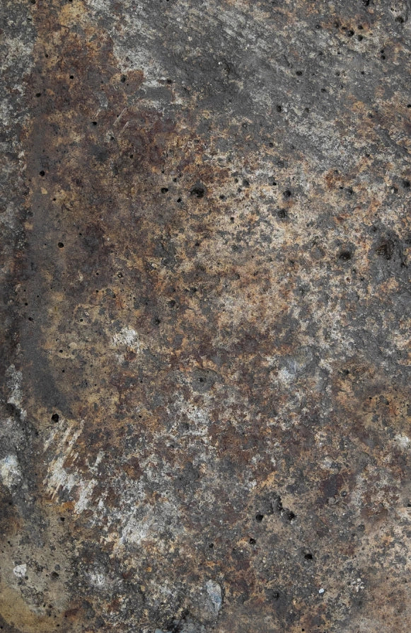 NOVITÀ: TESTA DI MORO - foodpropslover - sfondo fotografico professionale - sfondo set fotografico - professional food photographer - sfondo fotografico personalizzato - food photography photos - sfondo fotografico vinile - sfondo fotografico in legno - food photography - sfondo fotografico per fotografia di prodotto - sfondo fotografico per fotografia di food -  # # #