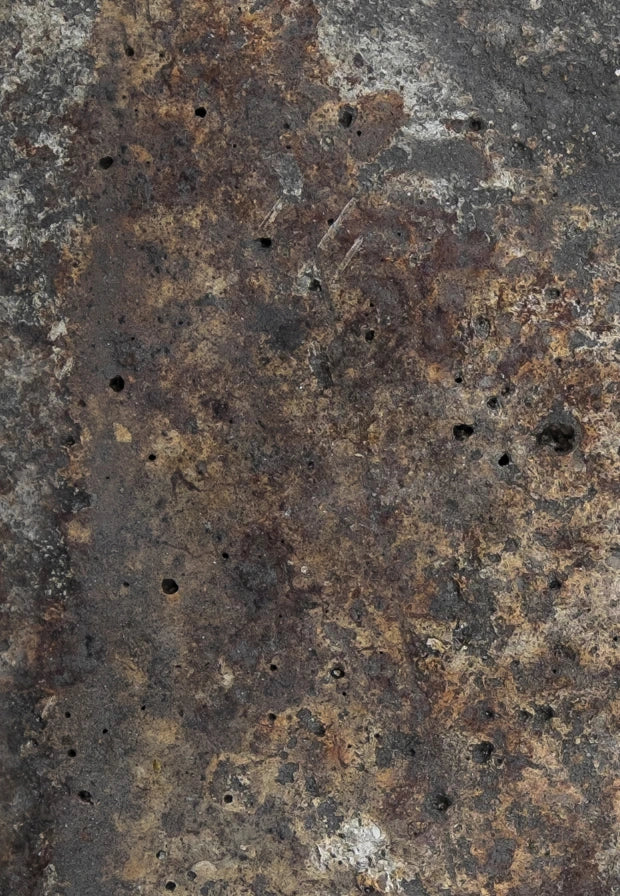 NOVITÀ: TESTA DI MORO - foodpropslover - sfondo fotografico professionale - sfondo set fotografico - professional food photographer - sfondo fotografico personalizzato - food photography photos - sfondo fotografico vinile - sfondo fotografico in legno - food photography - sfondo fotografico per fotografia di prodotto - sfondo fotografico per fotografia di food -  # # #