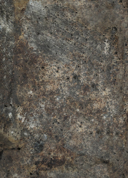 NOVITÀ: TESTA DI MORO - foodpropslover - sfondo fotografico professionale - sfondo set fotografico - professional food photographer - sfondo fotografico personalizzato - food photography photos - sfondo fotografico vinile - sfondo fotografico in legno - food photography - sfondo fotografico per fotografia di prodotto - sfondo fotografico per fotografia di food -  # # #