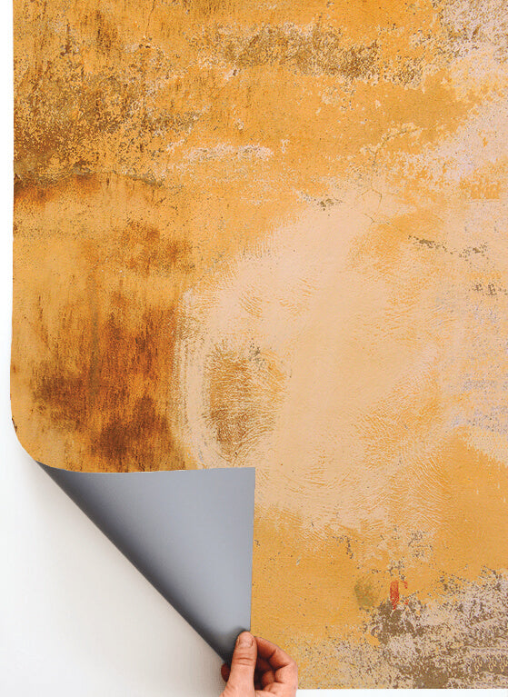 SPEDIZIONE IMMEDIATA: ZUCCA