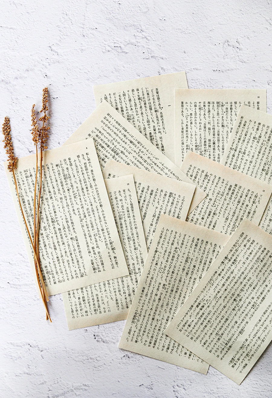 PAGINE IN LINGUA GIAPPONESE