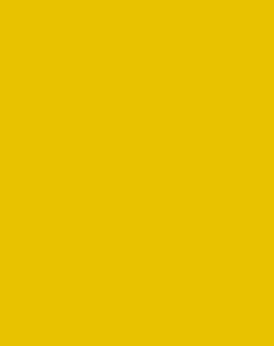 TEXTURE/250